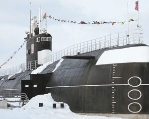 Подводная лодка Б-396 проходила службу с 1981 года в боевом составе 4-й Краснознамённой ордена Ушакова I степени эскадры подводных лодок Северного флота.