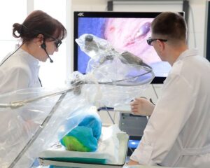 Приоритет – мультидисциплинарному подходу и инновациям.