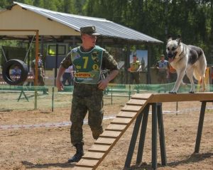 Фото Константина Алыша.