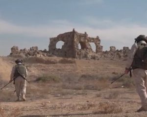 Учёные из Санкт-Петербурга борются за сохранение