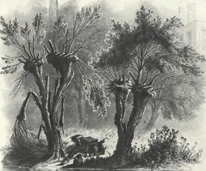 Смоленск, на правом берегу Днепра, 19 августа 1812 года (Убитый егерь). Фабер дю Фор.