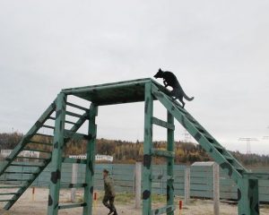 В одной связке.