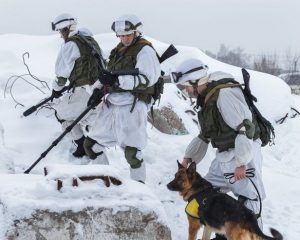 21 января – День инженерных войск