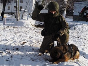 Найти и обезвредить