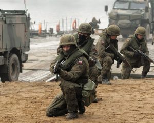 В иностранных армиях