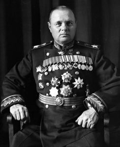 Маршал К.А. Мерецков, 1960 год.