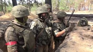 Обстрелы освобождённых территорий следует жёстко пресекать