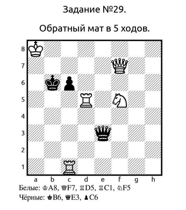 Шахматы