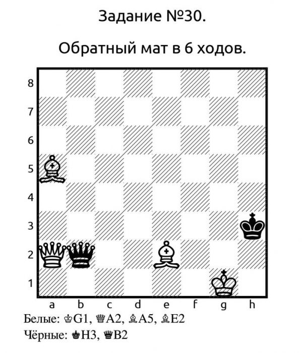 Шахматы