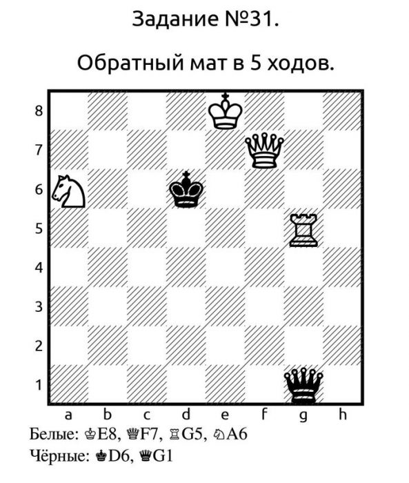 Шахматы
