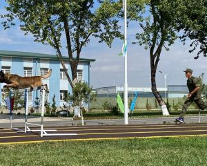Российские конкурсанты на земле древней Согдианы