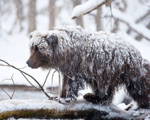 Открыть Россию заново