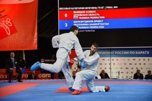 Чемпионы и призёры