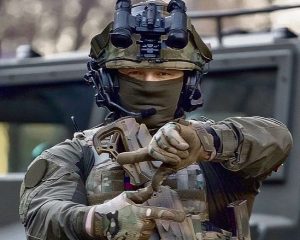 Всепобеждающая сила народной солидарности