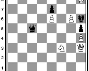Белые начинают и выигрывают Белые: Kh8, Qh3, Nf3, п.п. e6, g6, h4 Чёрные: Kh6, Qc5, п.п. e7, h5