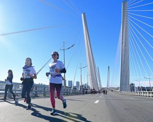 «Мосты Владивостока».
