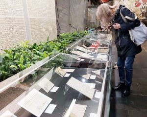 Доставит почта полевая.