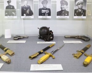 Из дальнего похода возвратясь…