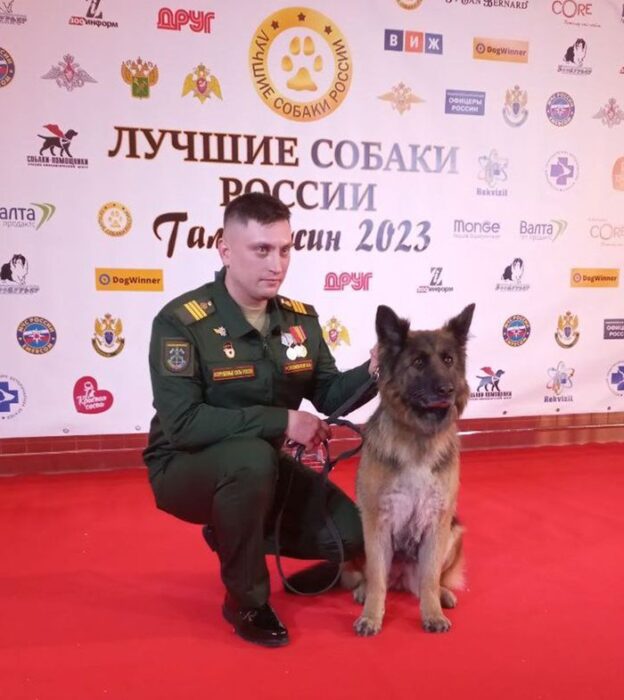 Верный друг лучше новых двух