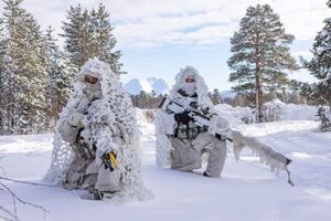 В иностранных армиях