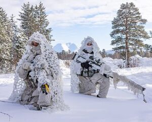 В иностранных армиях