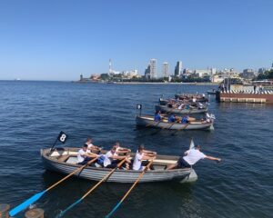 Баталии на морской воде