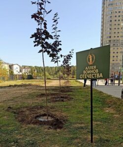 Хранителями памяти станут каштаны и клёны