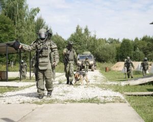 Деревня «Сапёрная» и хвостатые миноискатели