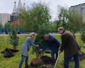 О сокровенном поведают деревья.