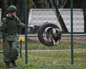 Четвероногие друзья в армейском строю