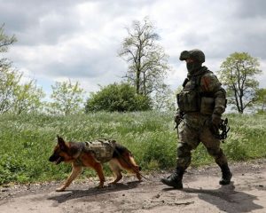 «Белый» со служебной собакой. Мариуполь, лето 2025 года.