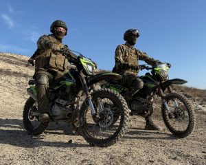 Стальная кавалерия «Востока»