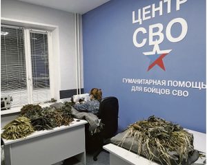 Доброе сердце и золотые руки