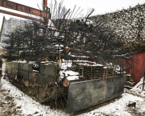 Надёжное плечо поддержки из Линёва