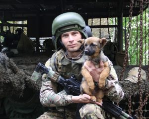 «Симс» и его боевые четвероногие товарищи.