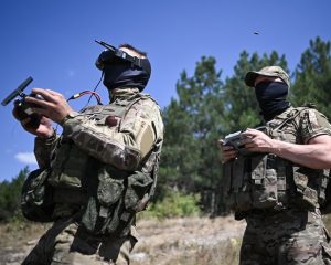 Их среда обитания – малое небо.