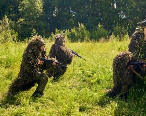 На штурм – с «Коброй»