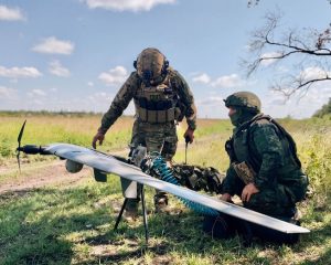 «Птички» соколиного полёта.