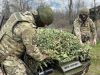 Показательно отрабатываем все поставленные задачи.