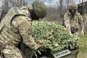 Показательно отрабатываем все поставленные задачи.