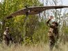 13 освобождённых населённых пунктов – таков итог минувшей недели.